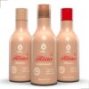 Kit Vegano Hibisco - 3 Itens Any Liss - Cod 071